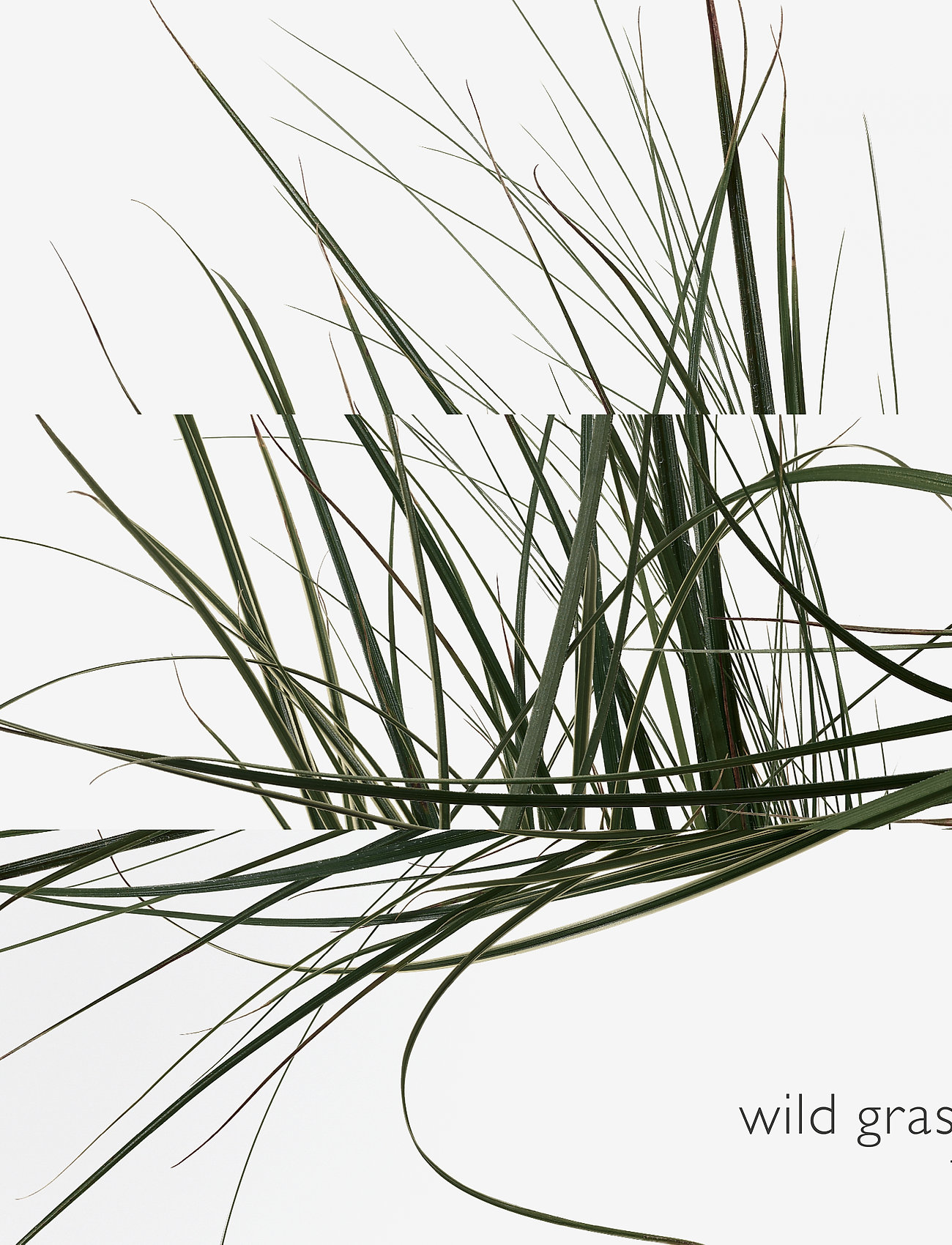 HERMÈS - Un Jardin sur le Toit, Eau de Toilette - til hende  - clear - 5