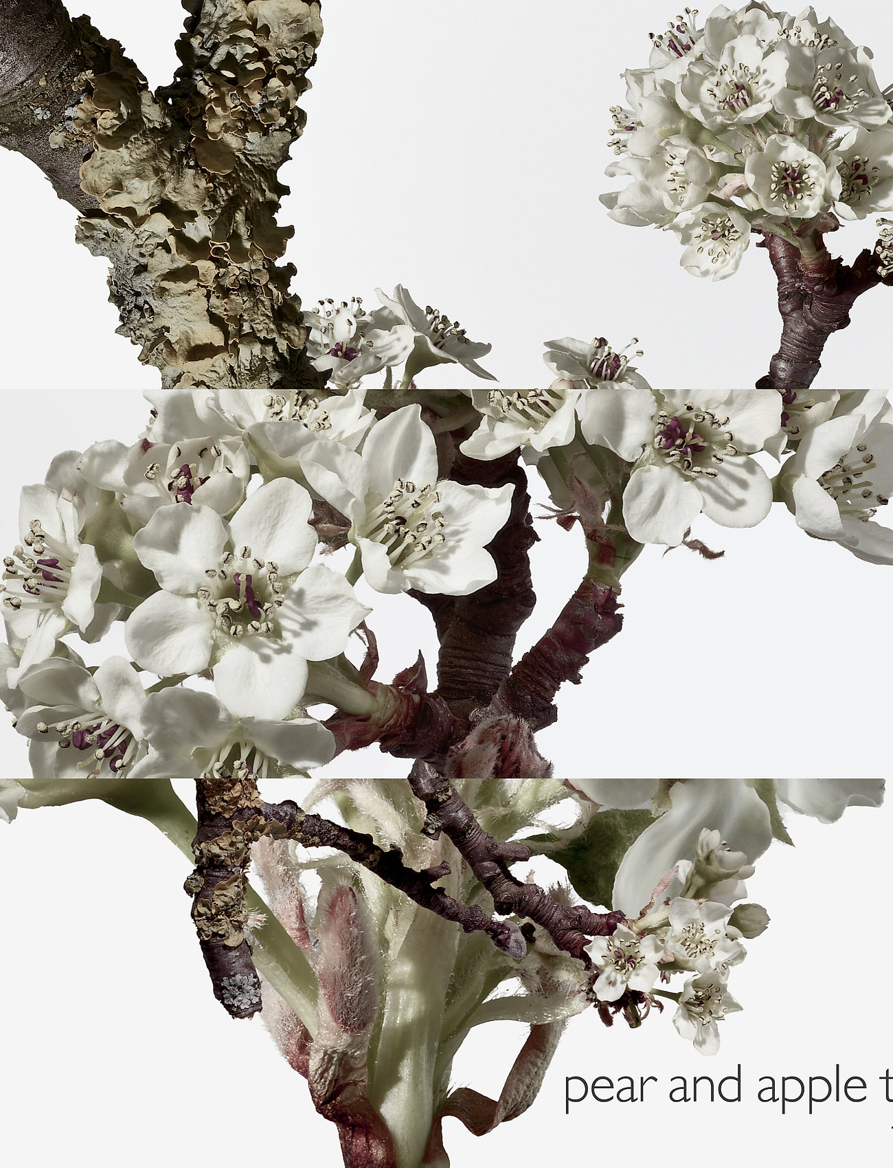 HERMÈS - Un Jardin sur le Toit, Eau de Toilette - till henne  - clear - 3