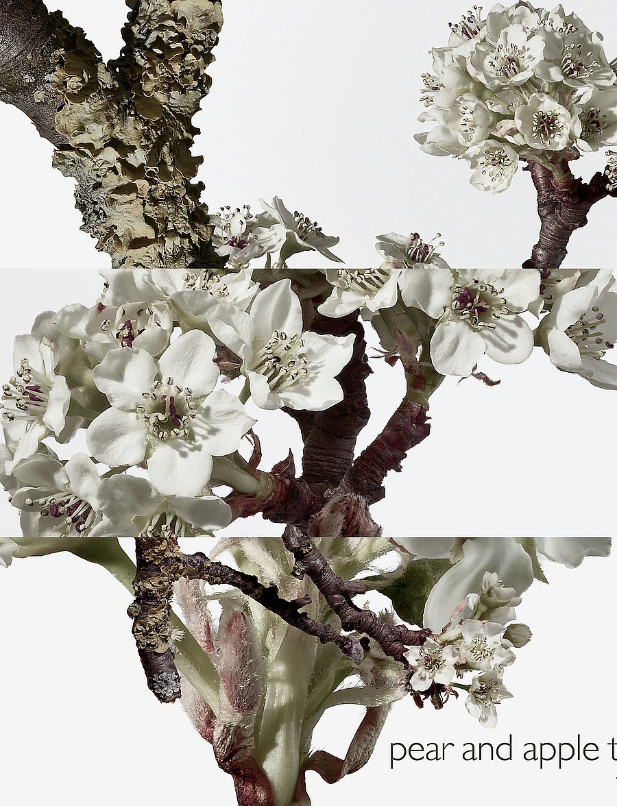 HERMÈS - Un Jardin sur le Toit, Eau de Toilette - till henne - clear - 3