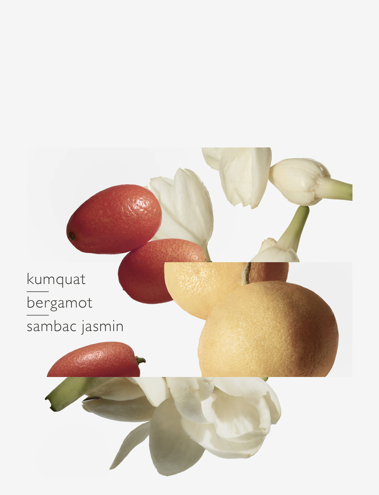 HERMÈS - Le Jardin de Monsieur Li, Eau de Toilette - til henne - clear - 3