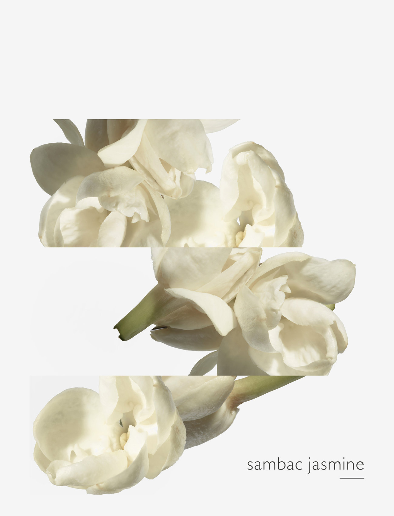 HERMÈS - Le Jardin de Monsieur Li, Eau de Toilette - til henne - clear - 4