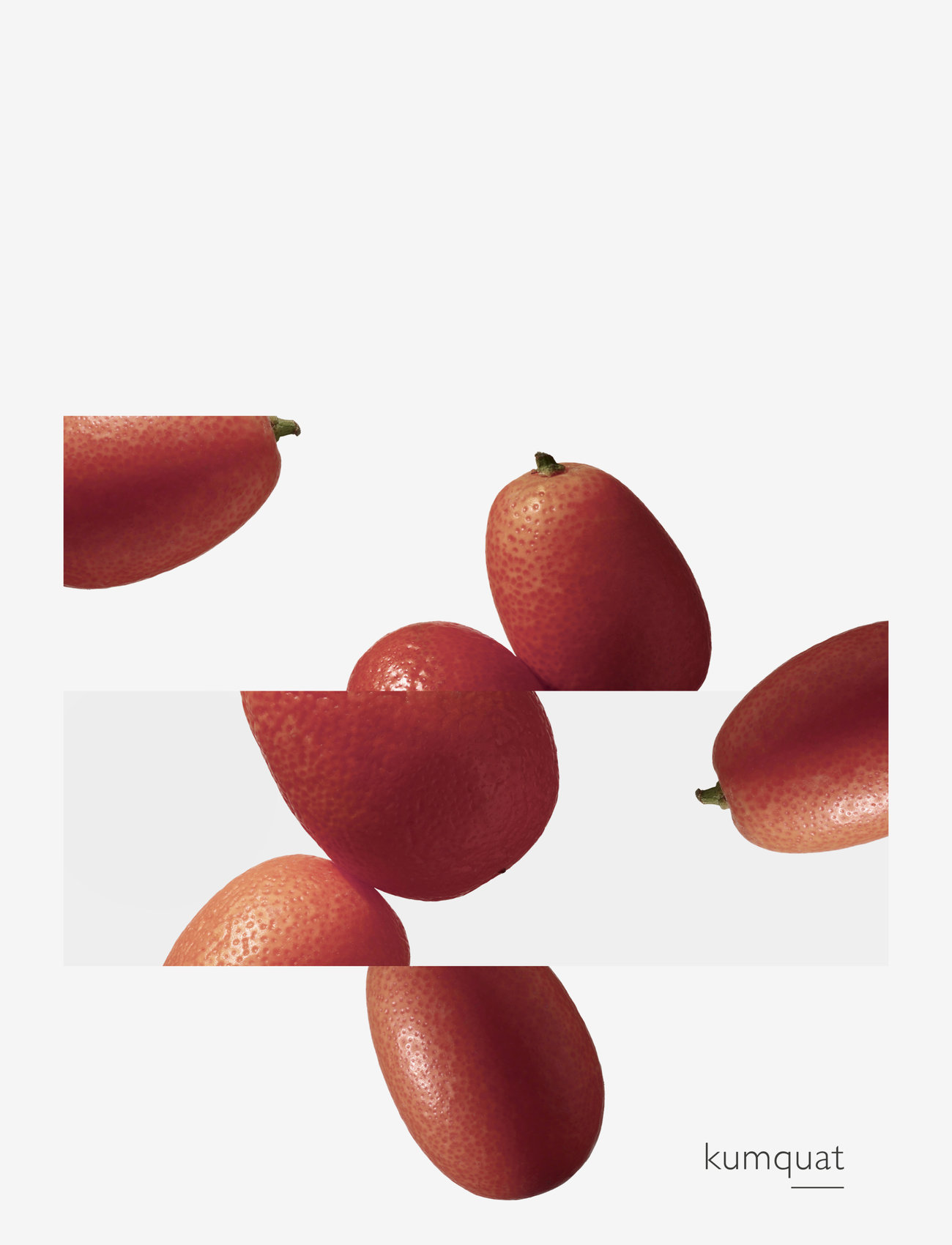 HERMÈS - Le Jardin de Monsieur Li, Eau de Toilette - til henne - clear - 5