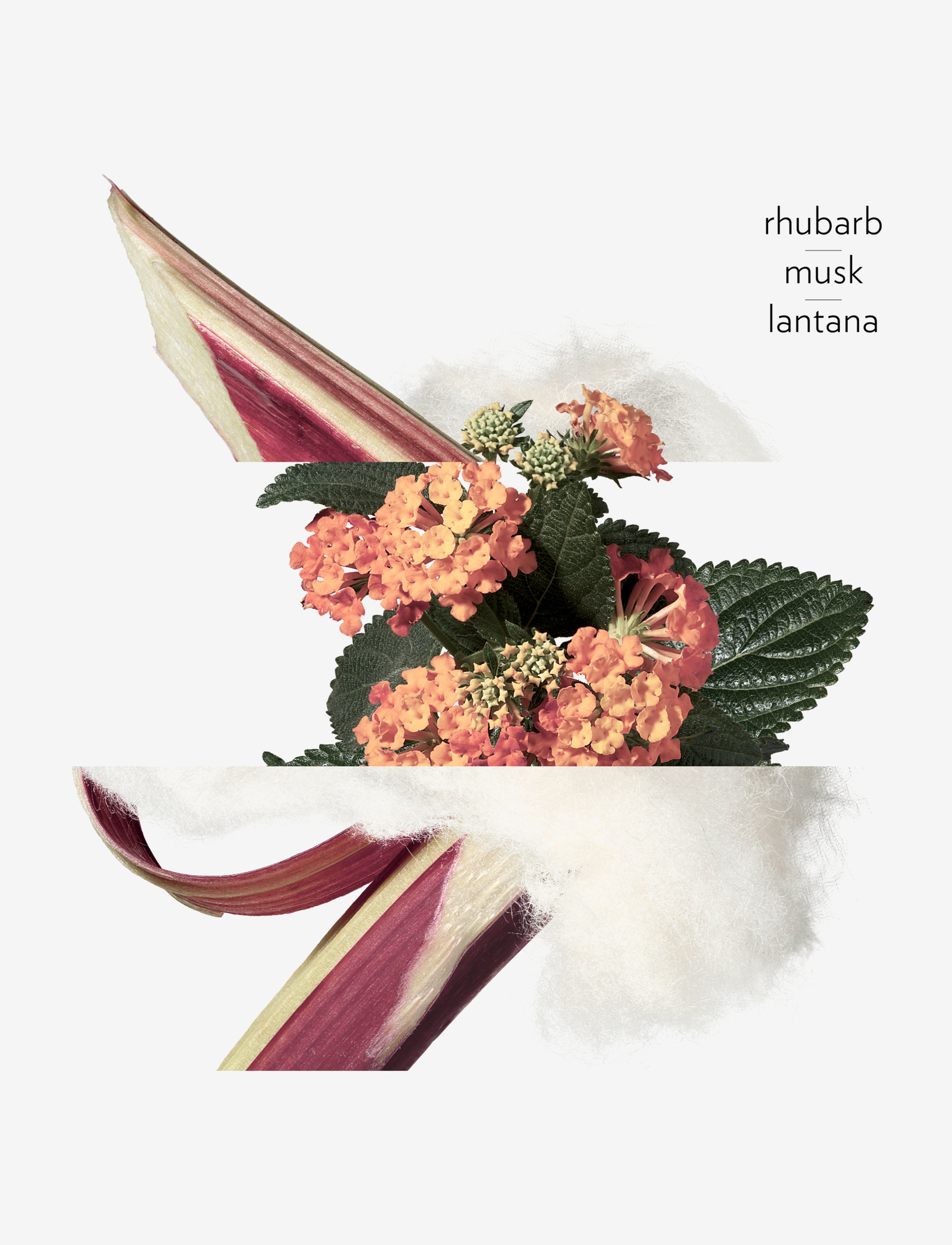 Eau De Rhubarbe Écarlate, Eau De Cologne 3