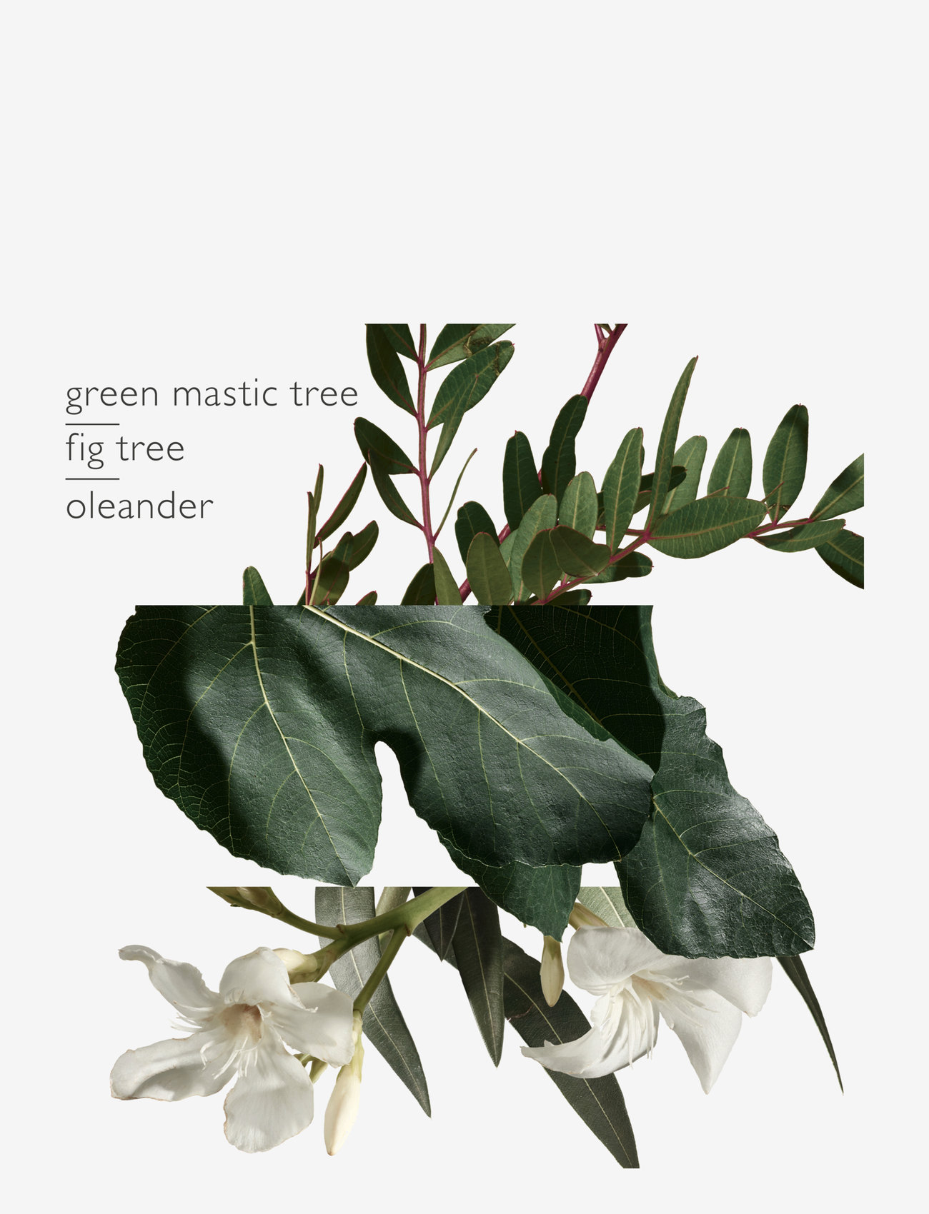 HERMÈS - Un Jardin en Méditerranée, Eau de Toilette - till henne  - clear - 5