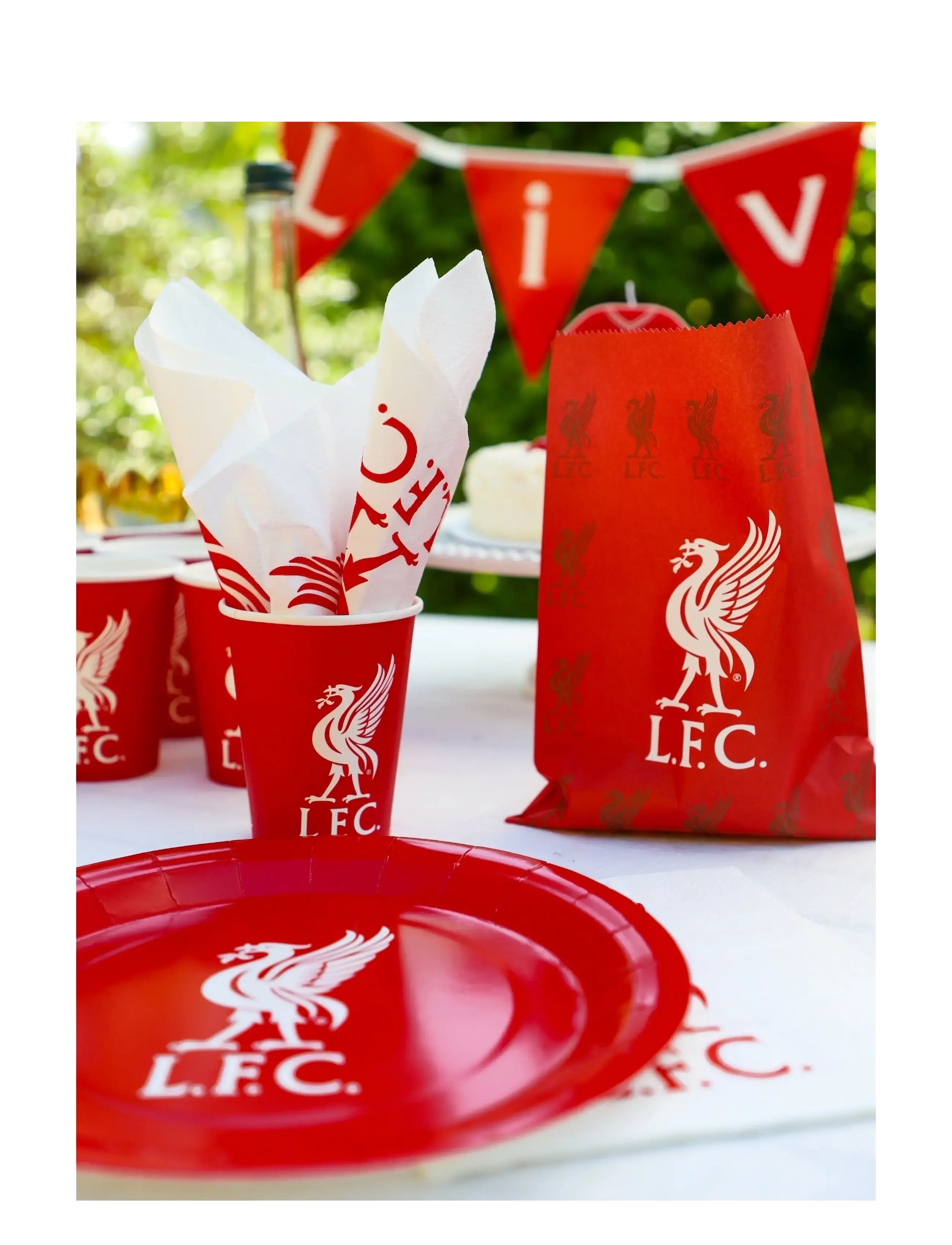 Fotball - LIVERPOOL PARTY PACK - festtilbehør - multi colour - 2