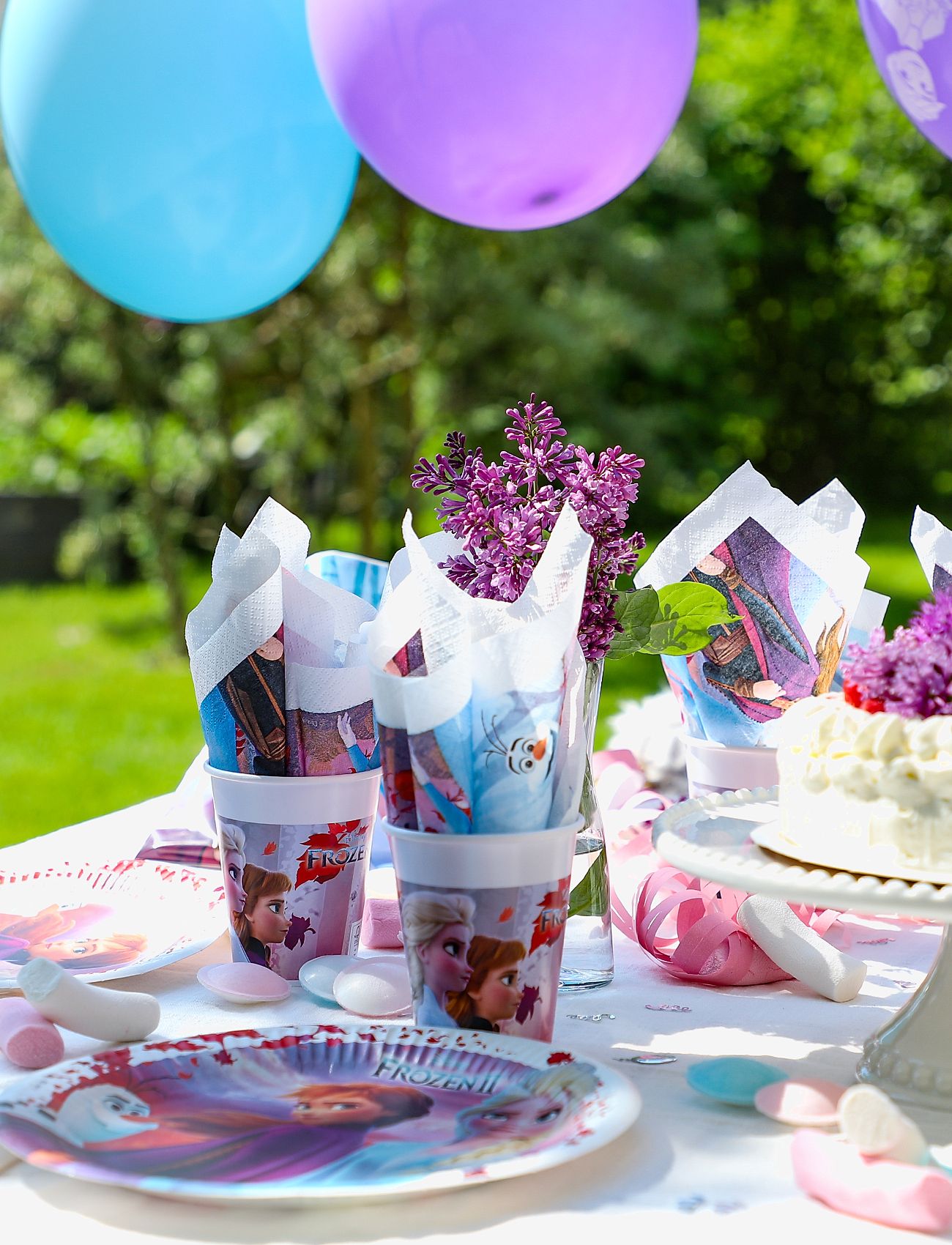 Joker - FROZEN PARTY PACK - gifts below 15000kr - multi coloured - 1