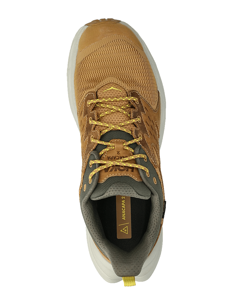 HOKA - Anacapa 2 Low GTX - hiking shoes - hly-honey / barley - 3