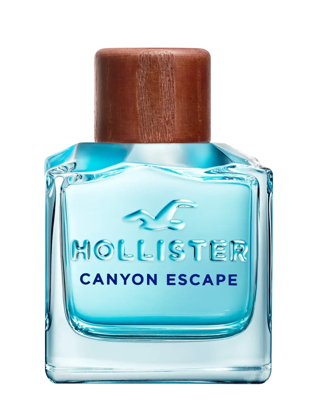 Hollister Fragrances Canyon Escape for Him Eau de toilette 100 ml - Parfymer & dufter - CLEAR / undefined