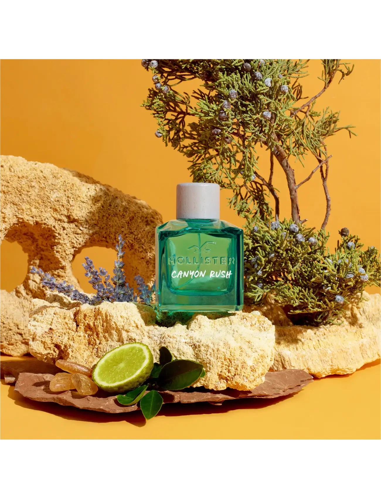 Canyon Rush Him Eau De Toilette 3