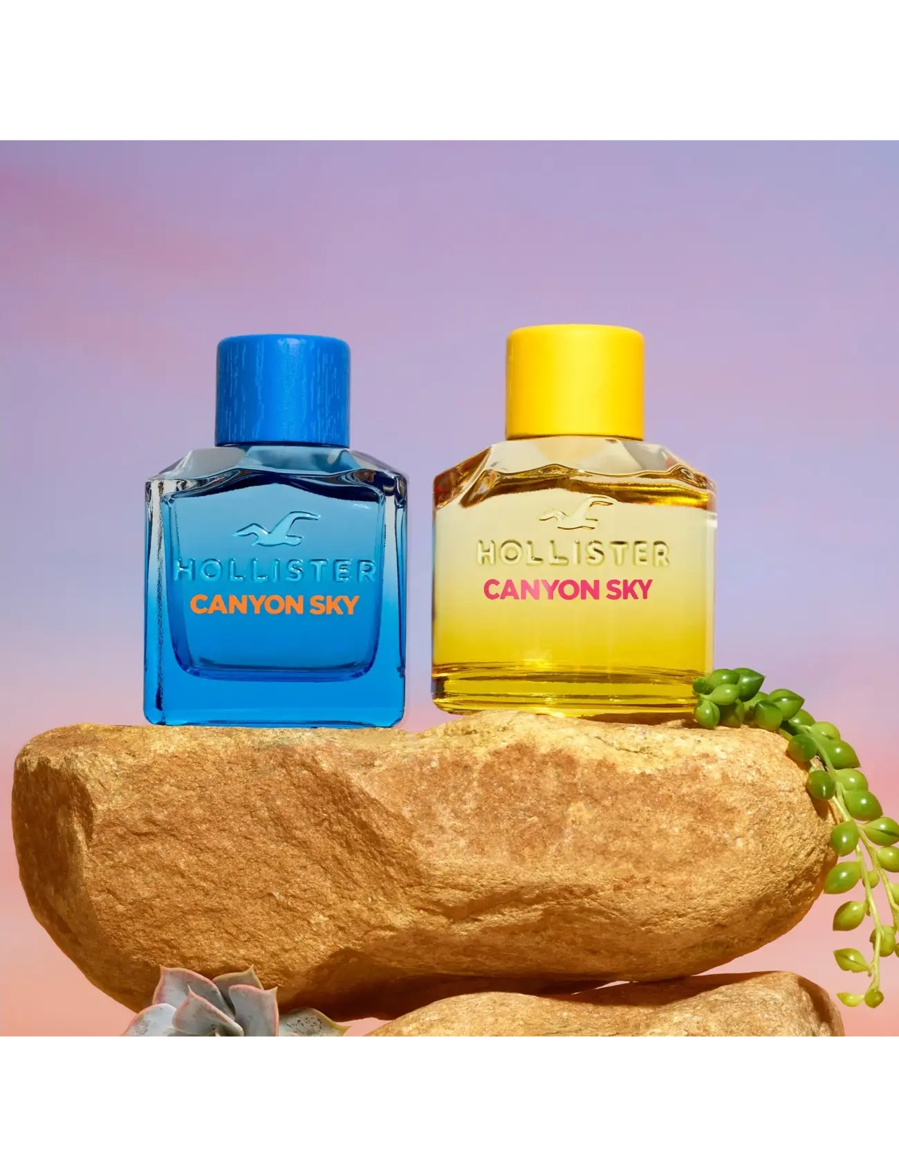 Hollister Fragrances Canyon Sky For Her Eau De Parfum dam – bild 4