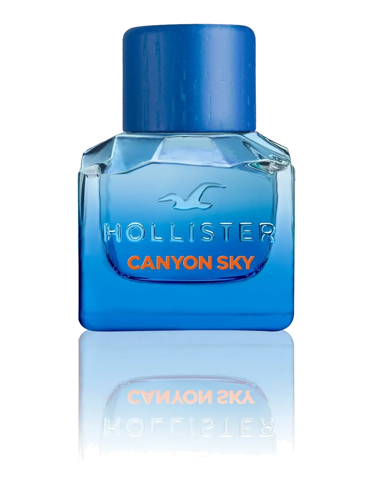 Hollister Fragrances - Canyon Sky for Him Eau de toilette  - till honom  - clear - 0