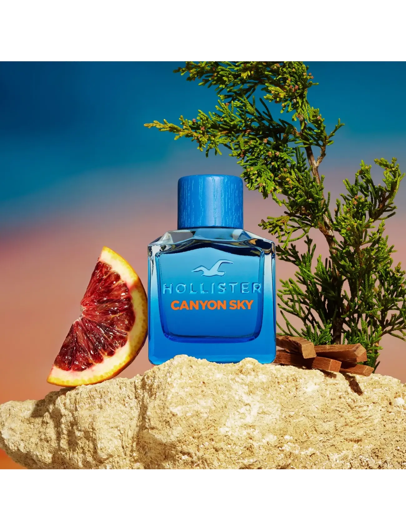 Hollister Fragrances - Canyon Sky for Him Eau de toilette  - till honom  - clear - 2