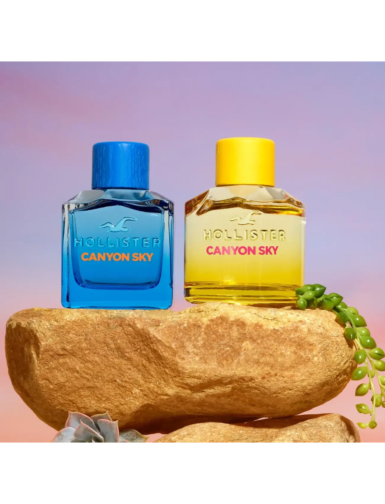 Hollister Fragrances - Canyon Sky for Him Eau de toilette  - till honom  - clear - 3