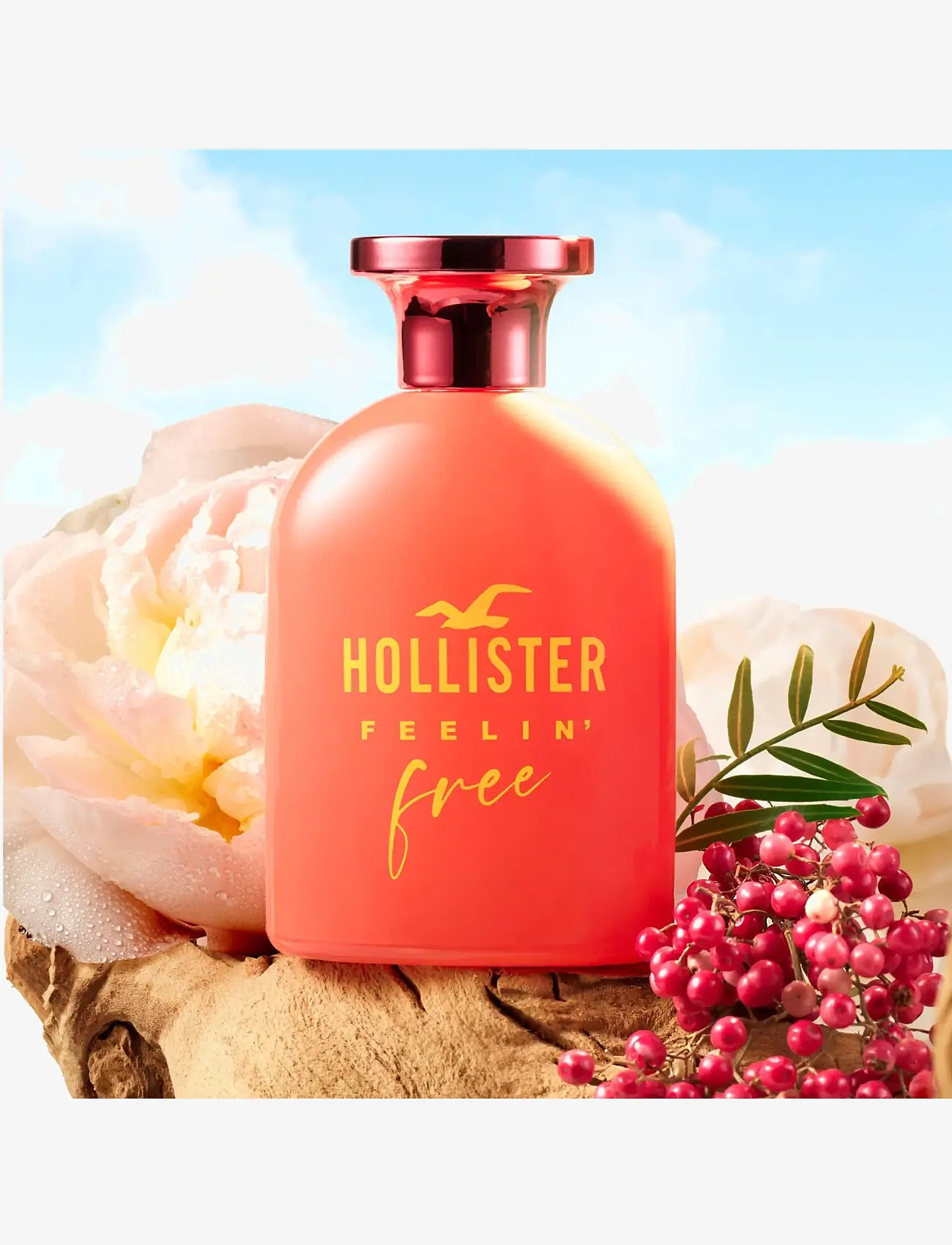 Hollister Fragrances - Feelin' Free for Her Eau de parfum - sommer parfumer - clear - 2
