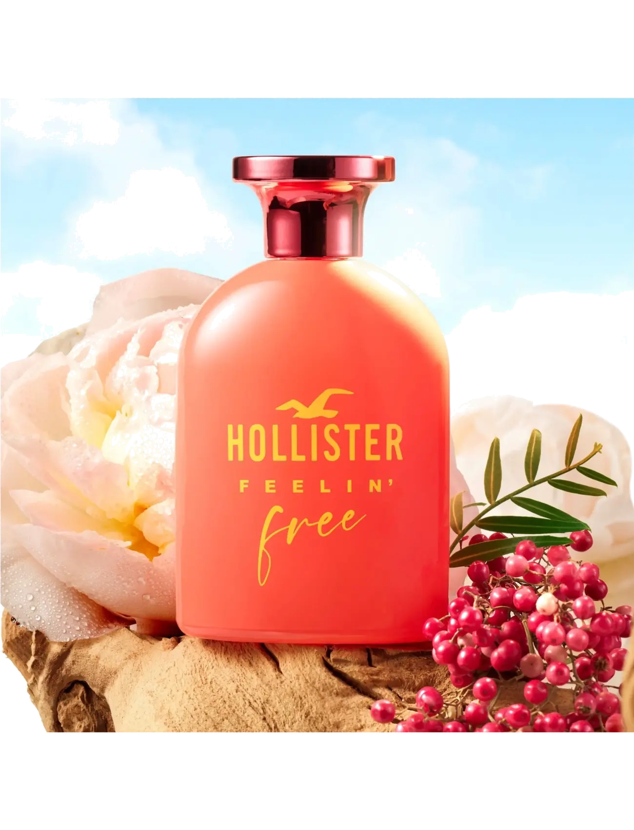 Hollister Fragrances - Feelin' Free for Her Eau de parfum - naistele  - clear - 2