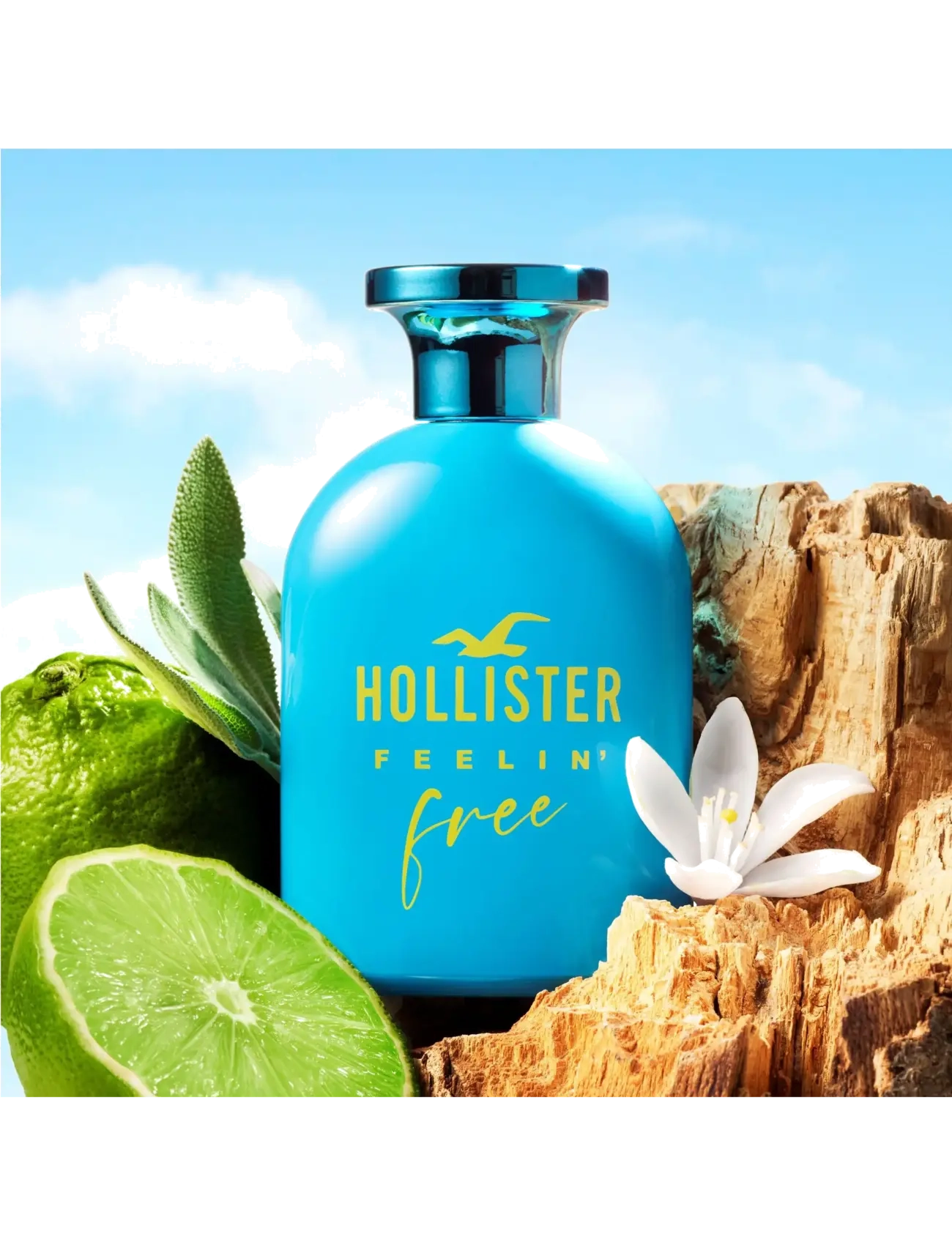 Feelin' Free For Him Eau De Toilette 3