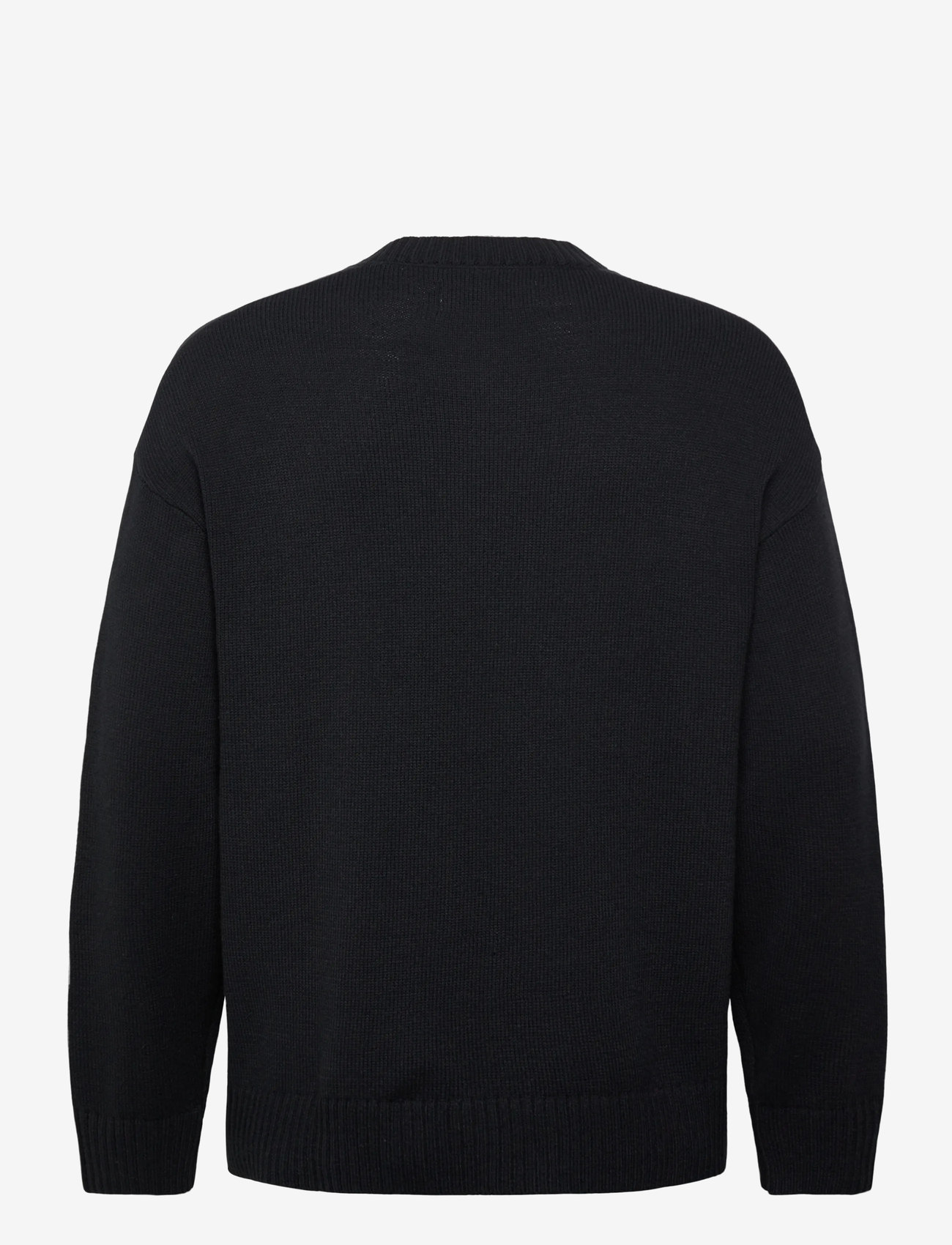 Hollister - LONG SLEEVE JERSEY CREW - kollektionen - 901 - 1