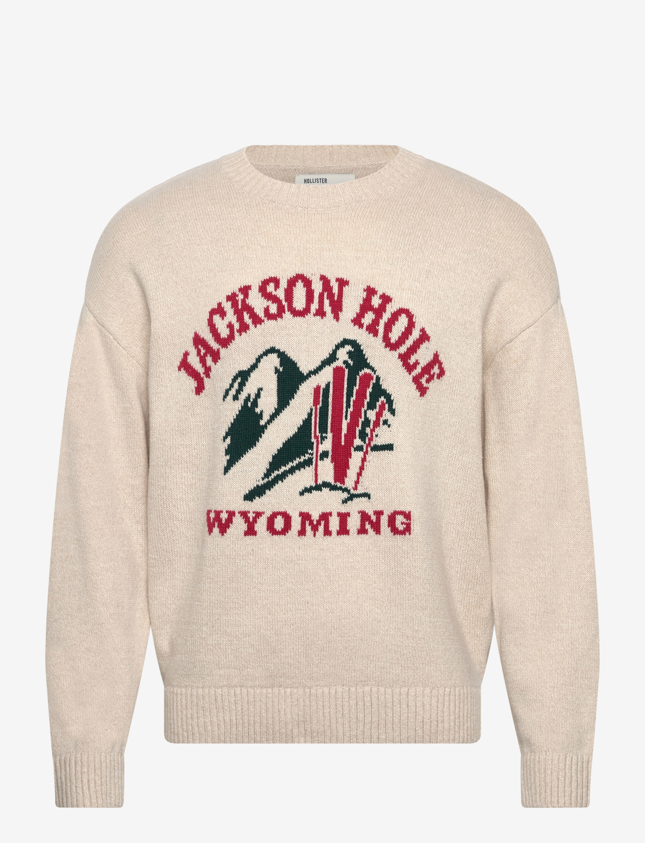 Hollister - INTARSIA JERSEY CREW - rundhals - 100 - 0