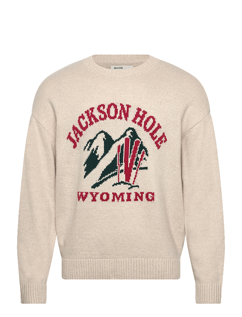 Hollister - INTARSIA JERSEY CREW - rundhals - 100 - 0