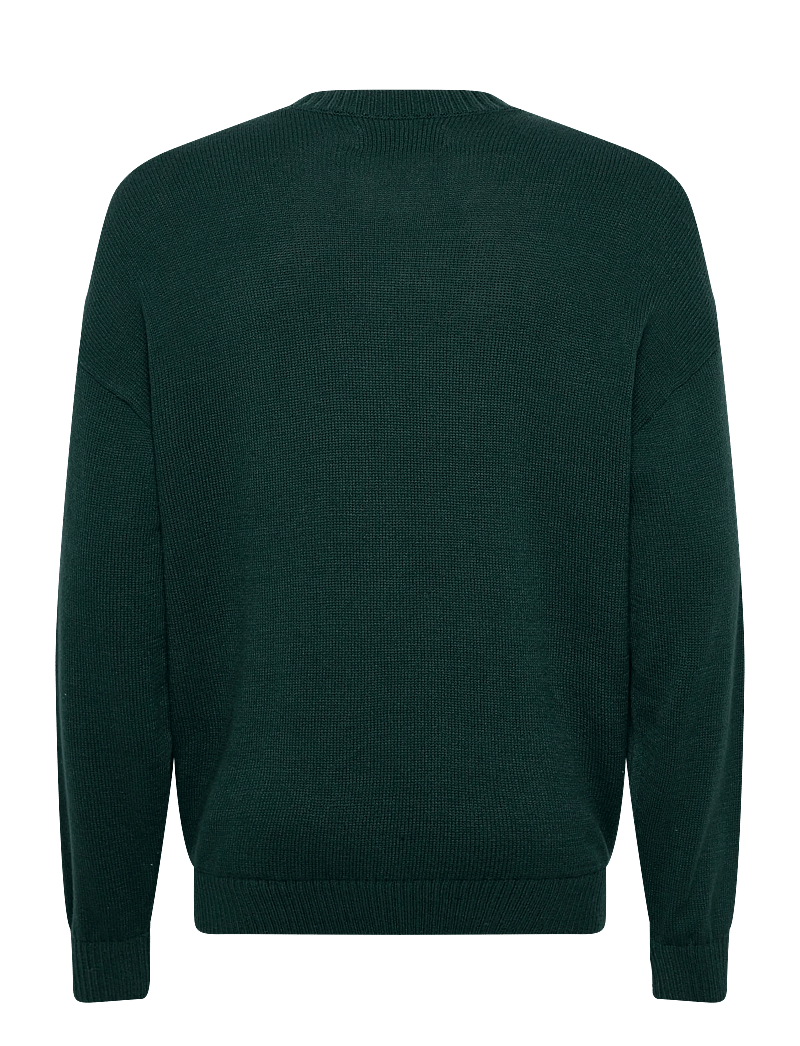 Hollister - INTARSIA JERSEY CREW - rundhalsad - 300 - 1
