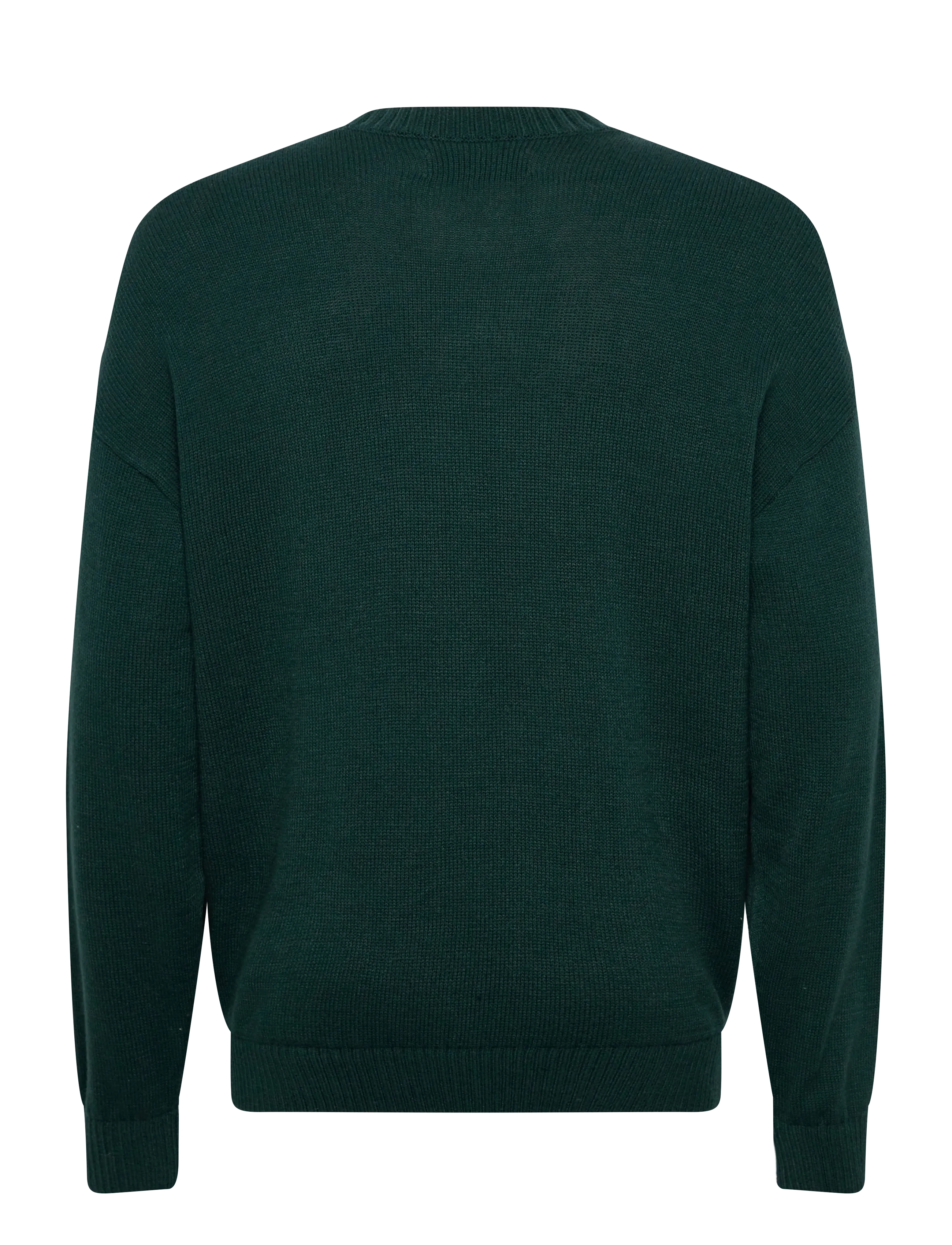 Hollister - INTARSIA JERSEY CREW - Ümmarguse kaelusega kudumid - 300 - 1