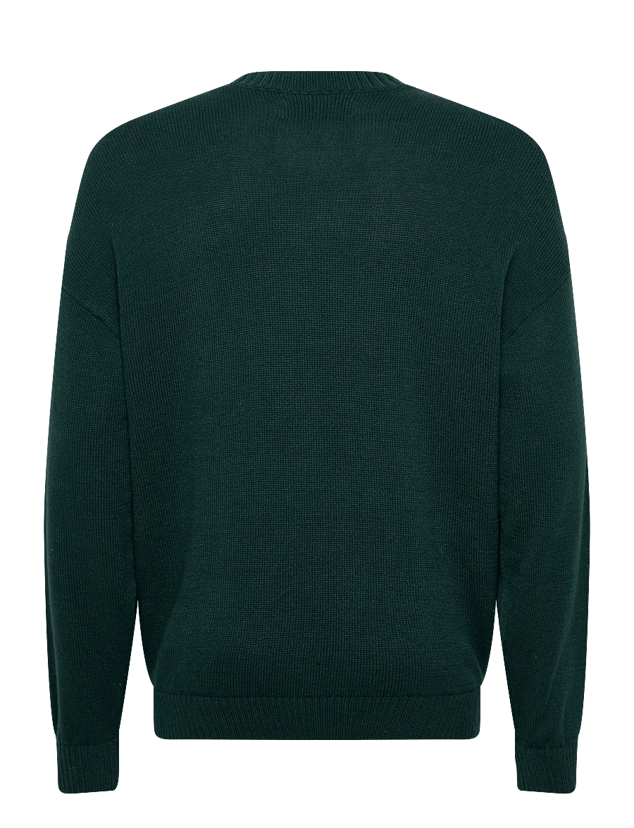 Hollister - INTARSIA JERSEY CREW - rundhals - 300 - 1