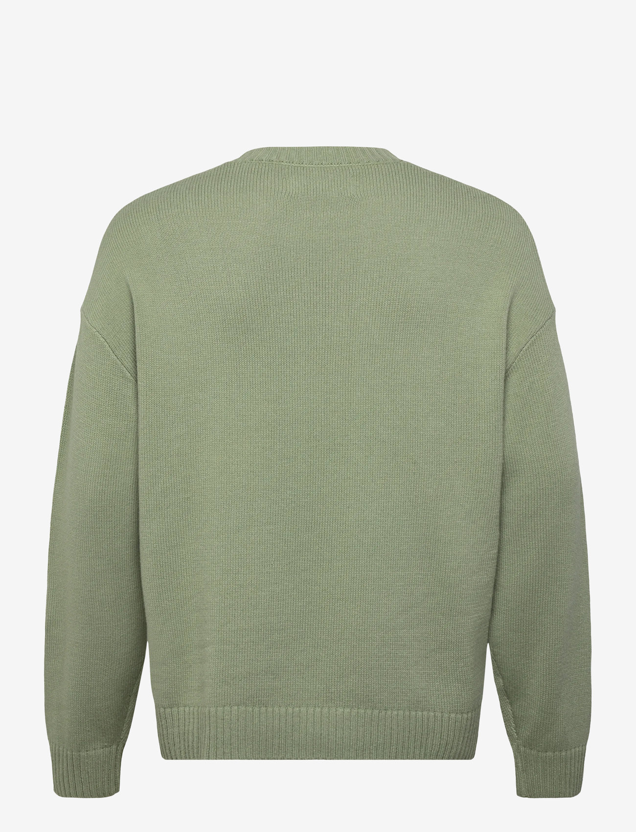 Hollister - LONG SLEEVE JERSEY CREW SWEATER - rundhals - 301 - 1