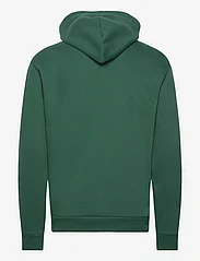 Hollister - HCo. GUYS SWEATSHIRTS - hoodies - green - 1