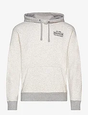 Hollister - HCo. GUYS SWEATSHIRTS - hættetrøjer - heather grey - 0