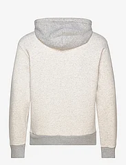 Hollister - HCo. GUYS SWEATSHIRTS - džemperi ar kapuci - heather grey - 1