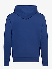 Hollister - HCo. GUYS SWEATSHIRTS - hoodies - blue - 1