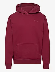 Hollister - HCo. GUYS SWEATSHIRTS - hoodies - burgundy - 0