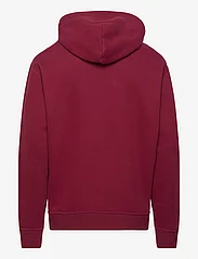 Hollister - HCo. GUYS SWEATSHIRTS - hoodies - burgundy - 1