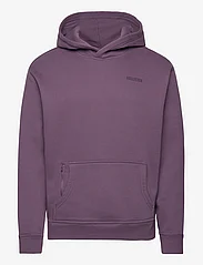Hollister - HCo. GUYS SWEATSHIRTS - hoodies - purple - 0