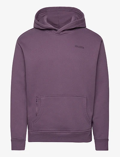 Hollister on sale hoodie barn
