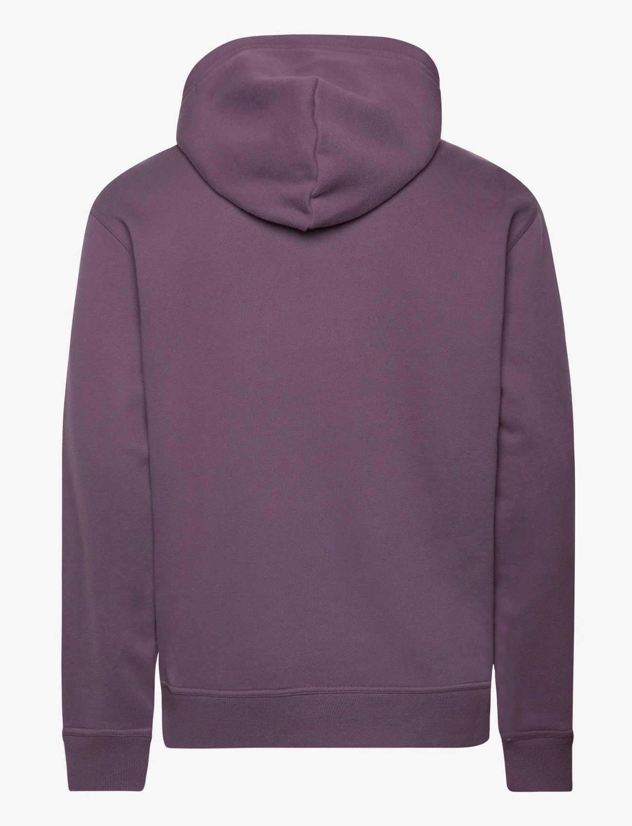 Hollister - HCo. GUYS SWEATSHIRTS - hoodies - purple - 1