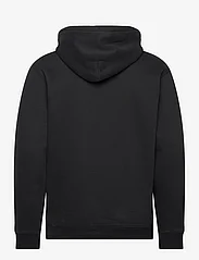 Hollister - HCo. GUYS SWEATSHIRTS - hoodies - black - 1