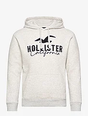 Hollister - HCo. GUYS SWEATSHIRTS - bluzy z kapturem - heather grey - 0
