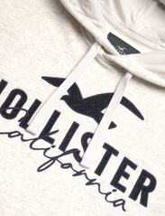 Hollister - HCo. GUYS SWEATSHIRTS - bluzy z kapturem - heather grey - 2