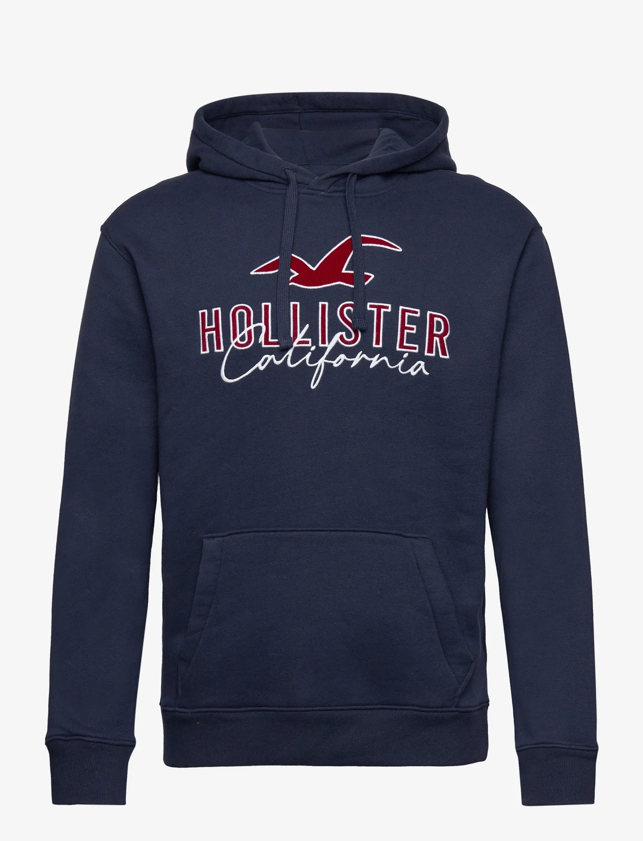 Hollister - HCo. GUYS SWEATSHIRTS - kapuutsiga dressipluusid - navy - 0
