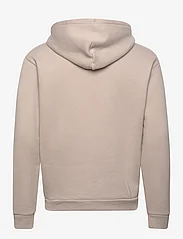 Hollister - HCo. GUYS SWEATSHIRTS - hoodies - texture tan - 1