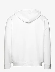 Hollister - HCo. GUYS SWEATSHIRTS - hoodies - brilliant white - 1
