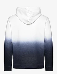 Hollister - HCo. GUYS SWEATSHIRTS - hoodies - blue to white - 1