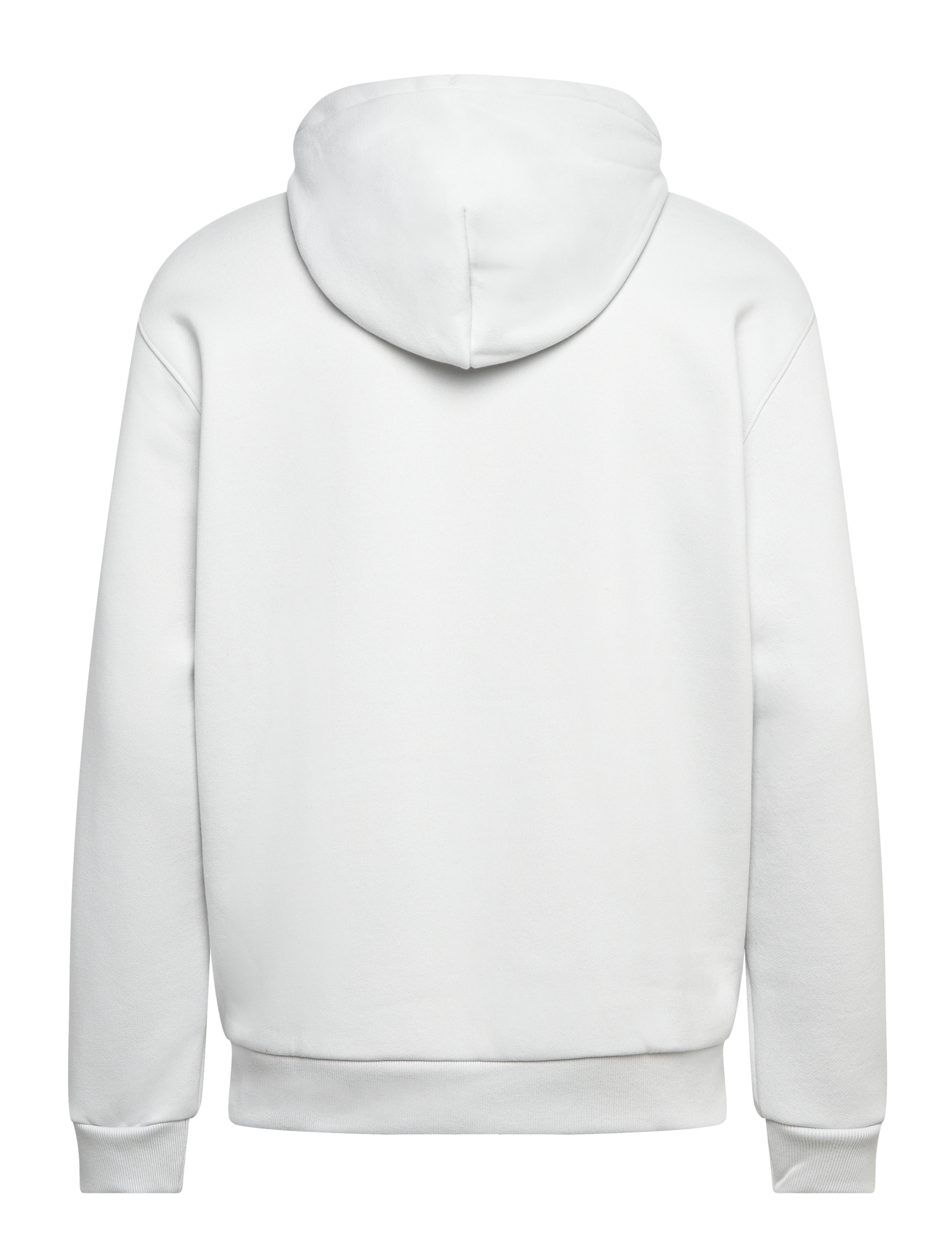 Hollister - HCo. GUYS SWEATSHIRTS - oyster mushroom - 1