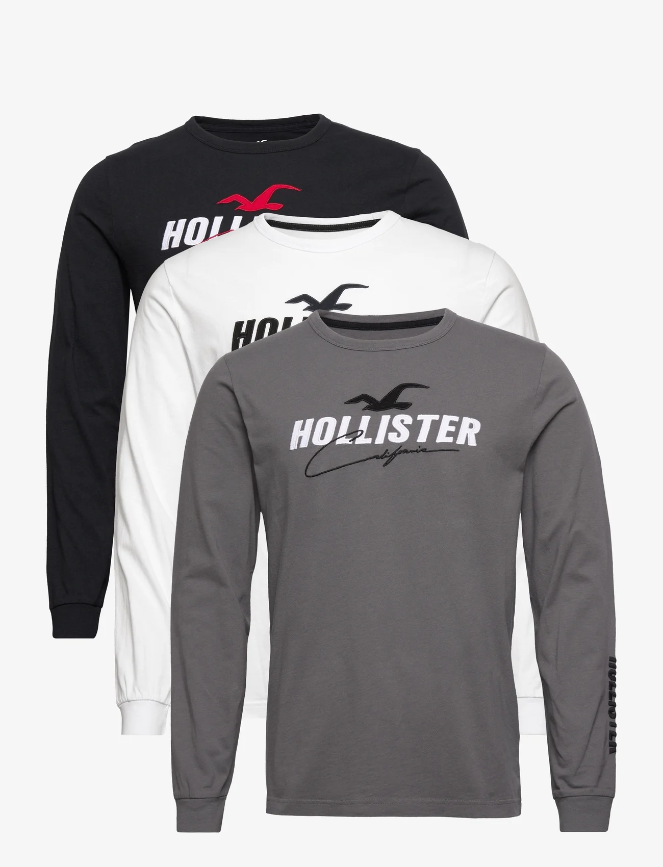 Hollister - HCo. GUYS GRAPHICS - long-sleeved t-shirts - multi - 0