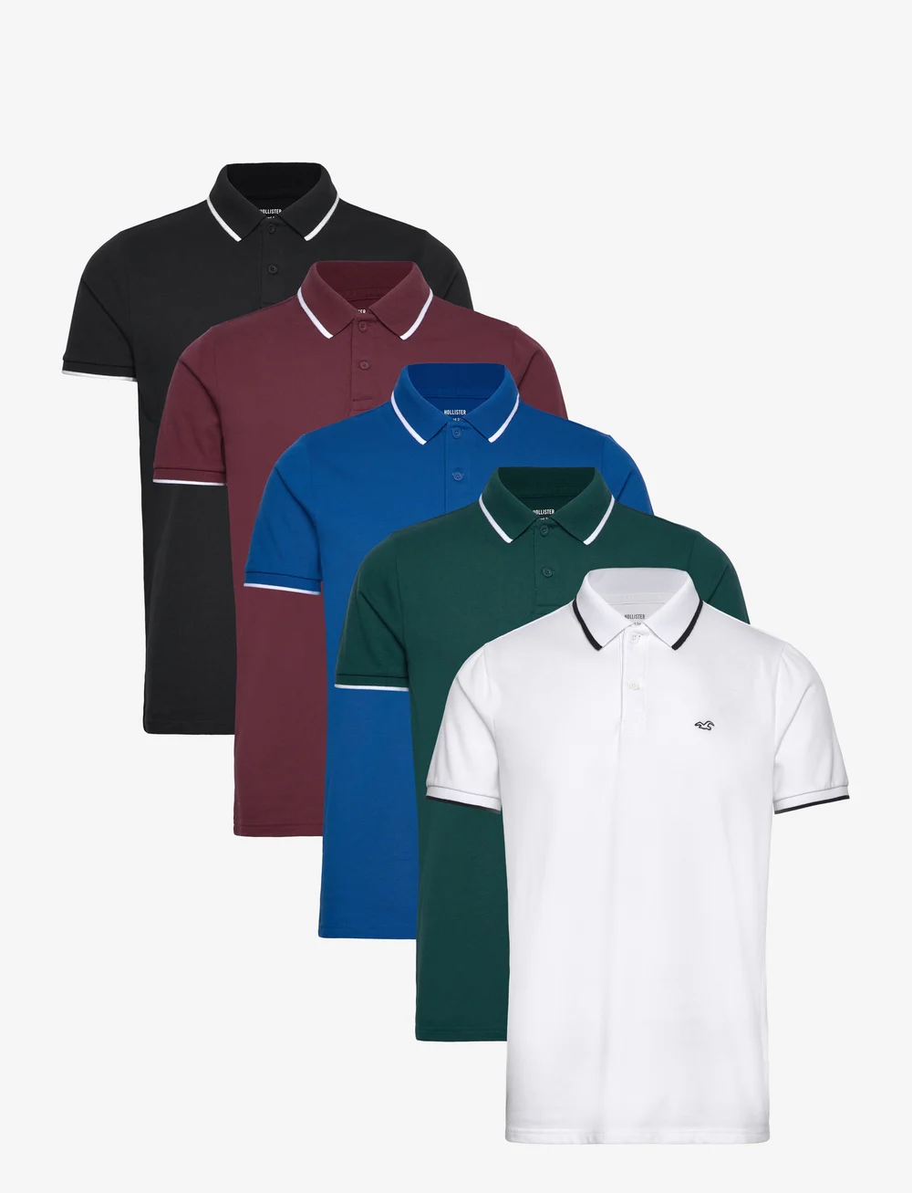 Hollister - HCo. GUYS KNITS - stutterma polo - 5 pk - 0