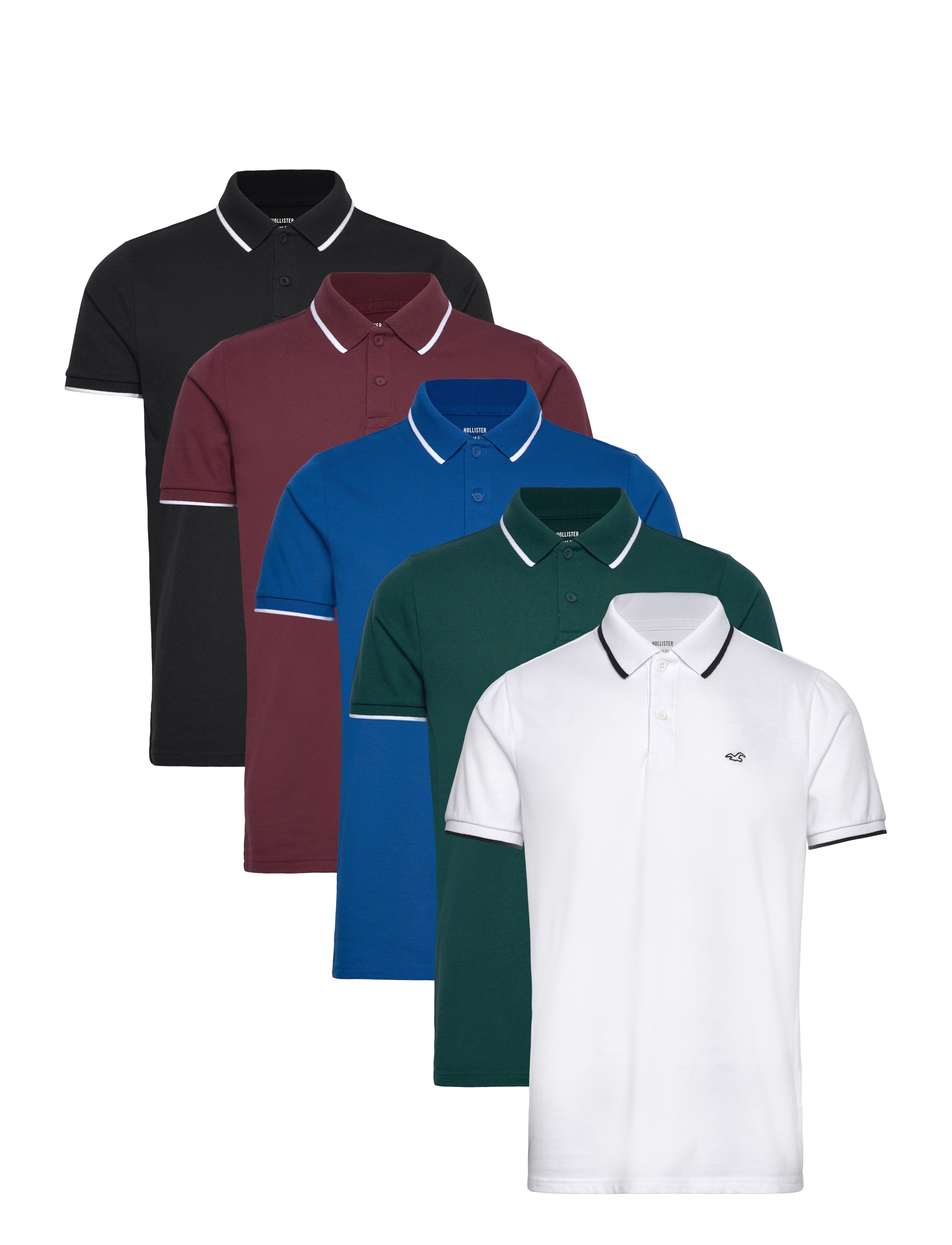 Hollister HCo. GUYS KNITS - Hollister - 5 PK / multi