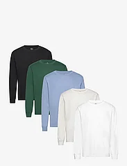 Hollister - HCo. GUYS KNITS - basis-t-skjorter - ls relaxed crew 5pk (polybag) - 0