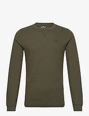 Hollister - HCo. GUYS KNITS - lowest prices - olive - 0