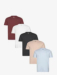 Hollister - HCo. GUYS KNITS - kortärmade t-shirts - wht/blck/tan/blue/burg - 0